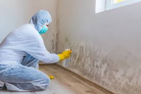 Best Real Estate Mold Inspection  in West Odessa, TX