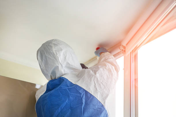 Best Mold Odor Removal Services  in West Odessa, TX