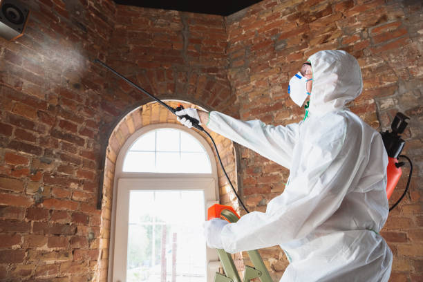 Best Mold Remediation for Rental Properties  in West Odessa, TX