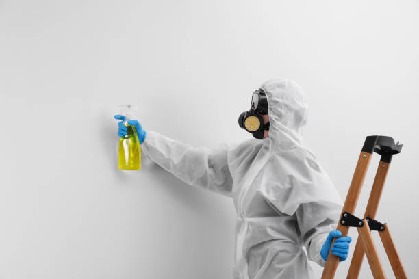 Best Attic Mold Removal  in West Odessa, TX