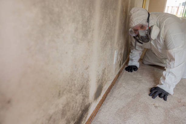  West Odessa, TX Mold Inspection Pros